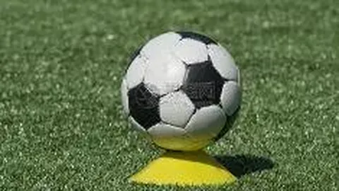 《独家揭秘：孔帕尼教练团备战国际赛期，拜仁续约大戏即将上演》