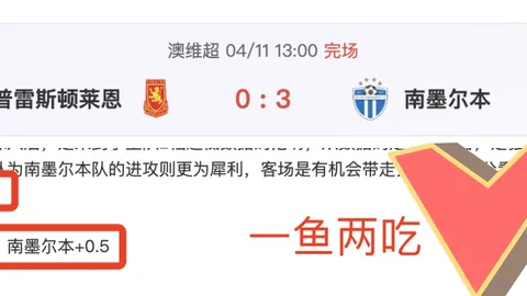 哈维面临沙特报价，权衡利弊，考虑多方对比